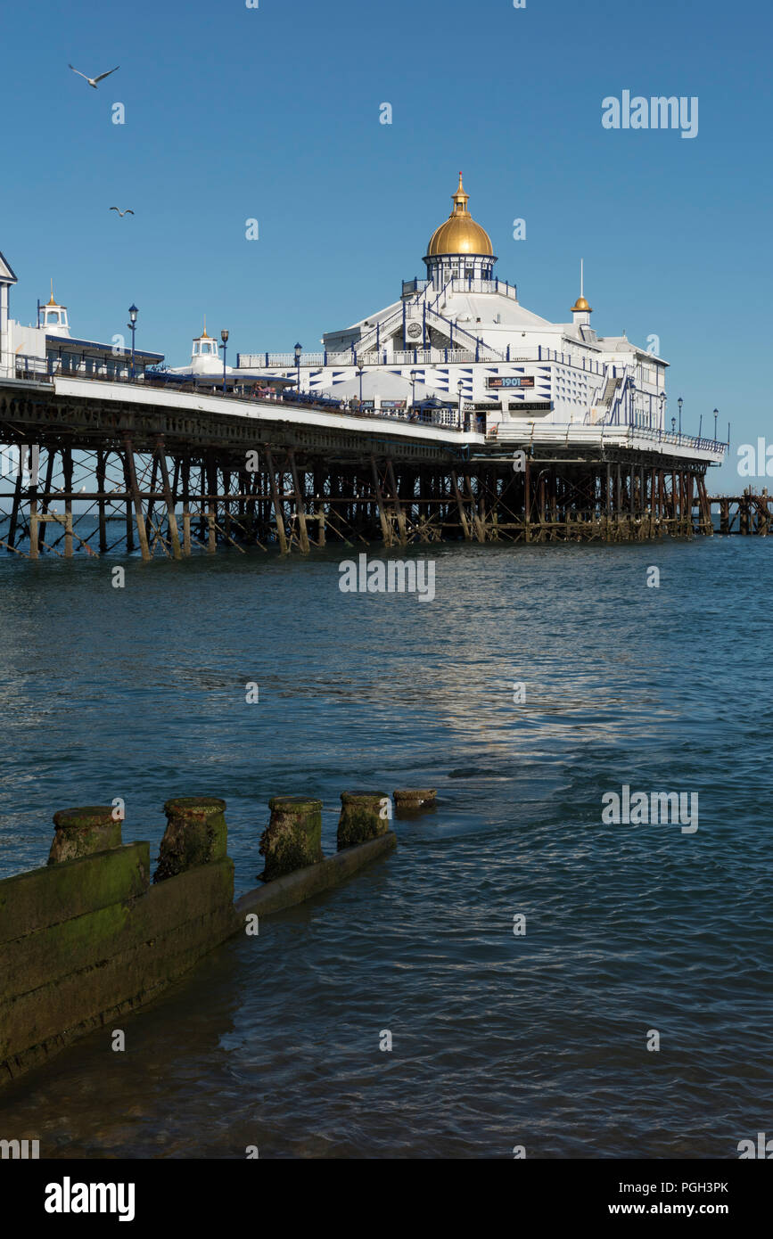 Eastbourne Pier, in der Grafschaft East Sussex, an der Südküste von England in Großbritannien. Stockfoto