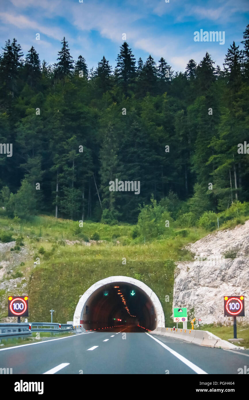 Eingang des Tunnels an der Autobahn mit Pinienwald. Stockfoto
