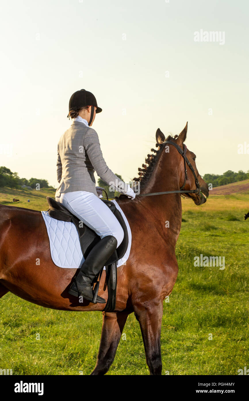 Junge Frau Ein Pferd Reiten Auf Den Grunen Bereich Reiten Wettbewerb Hobby Stockfotografie Alamy