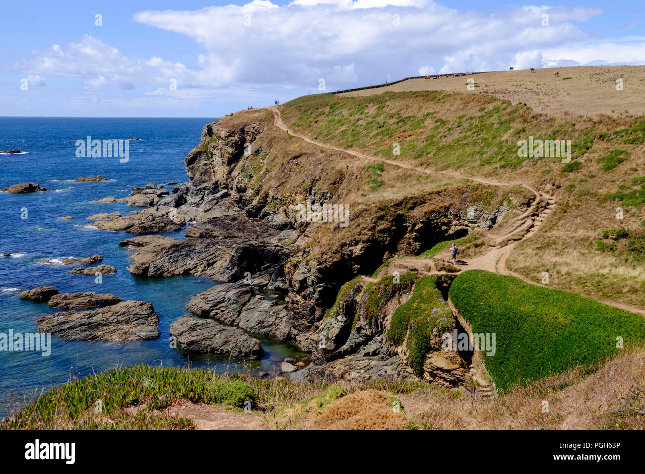 Alte Eidechse Kopf an der südlichste Punkt an Lizard, Cornwall, England, Großbritannien Stockfoto