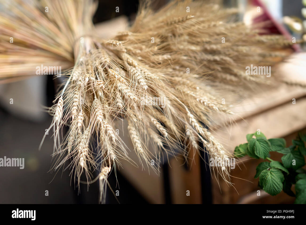 Blumenstrauß aus trockenen Ährchen, Weizen Ohren close-up auf dem Tisch, selektiver Fokus, dekorative reiften Getreide Spikes. Herbst- und Landwirtschaft. Der reale Hintergrund, der Blumenmarkt. Stockfoto