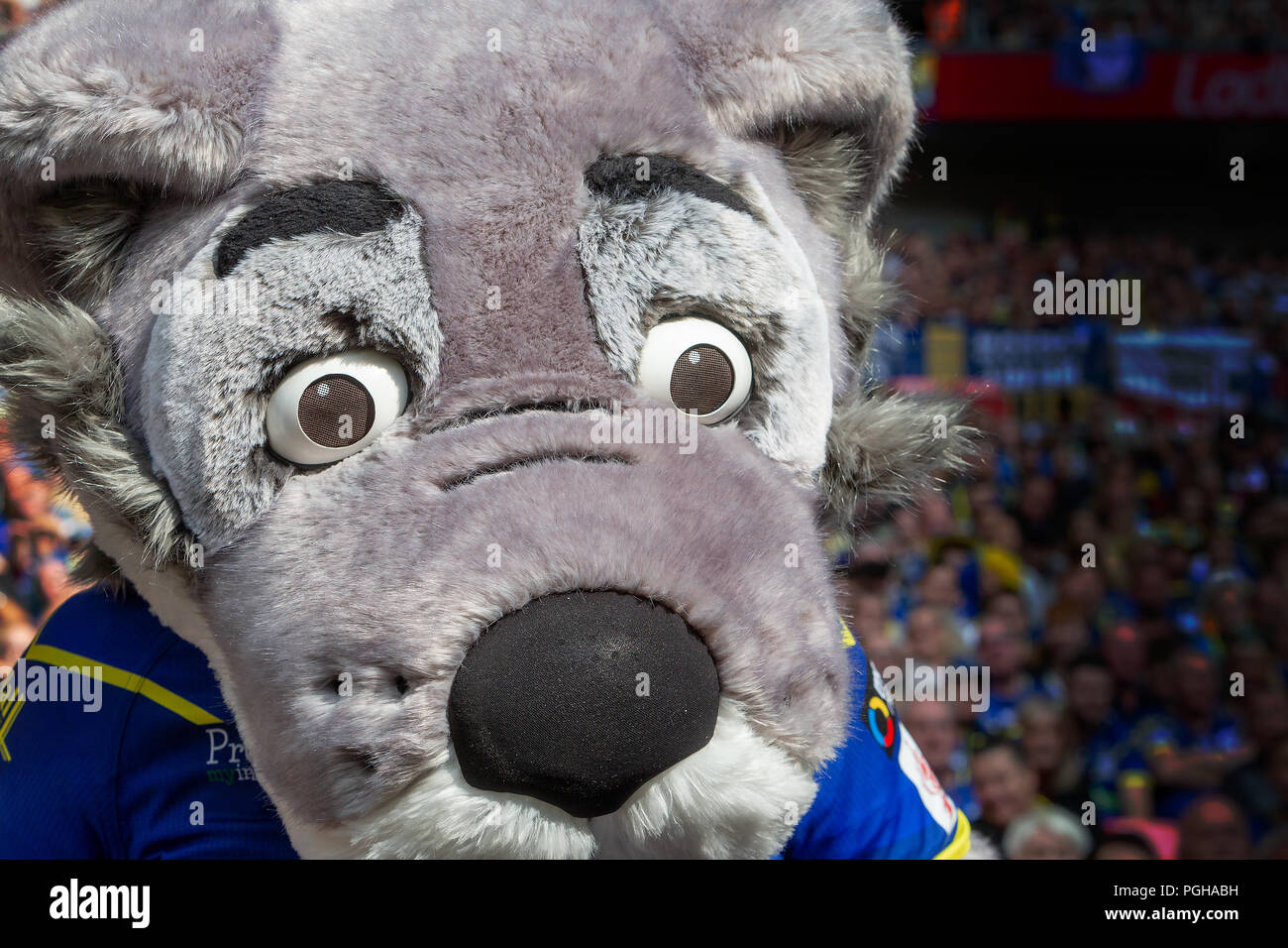 Samstag, 25. August 2018 - Die 117 Inszenierung der Ladbrokes Challenge Cup Rugby League Finale im Wembley Stadium zwischen Warrington Wölfe (der Leitung) Stockfoto