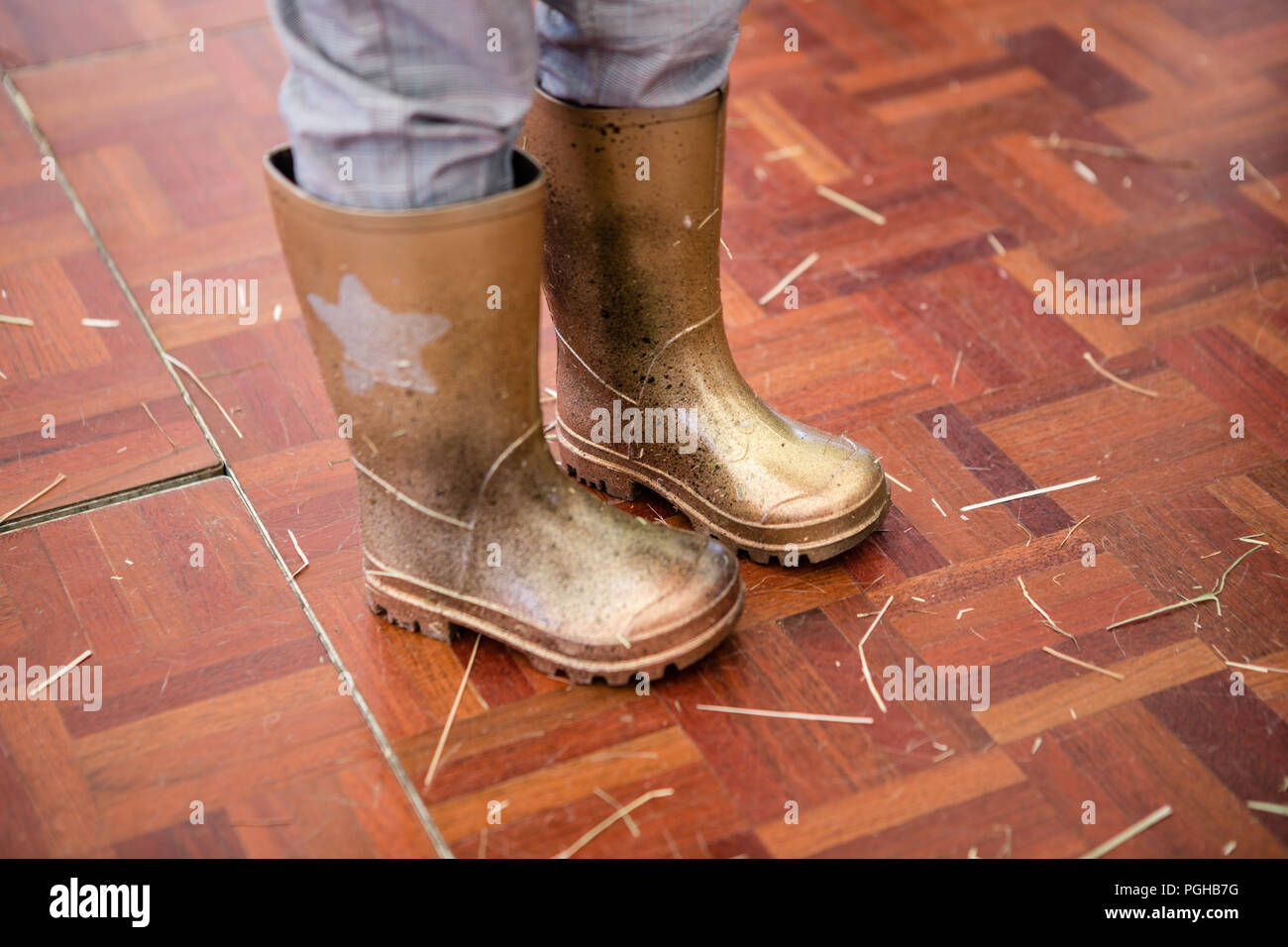 Nahaufnahme der lackiert Gold party wellies auf Kleinkind Stockfoto