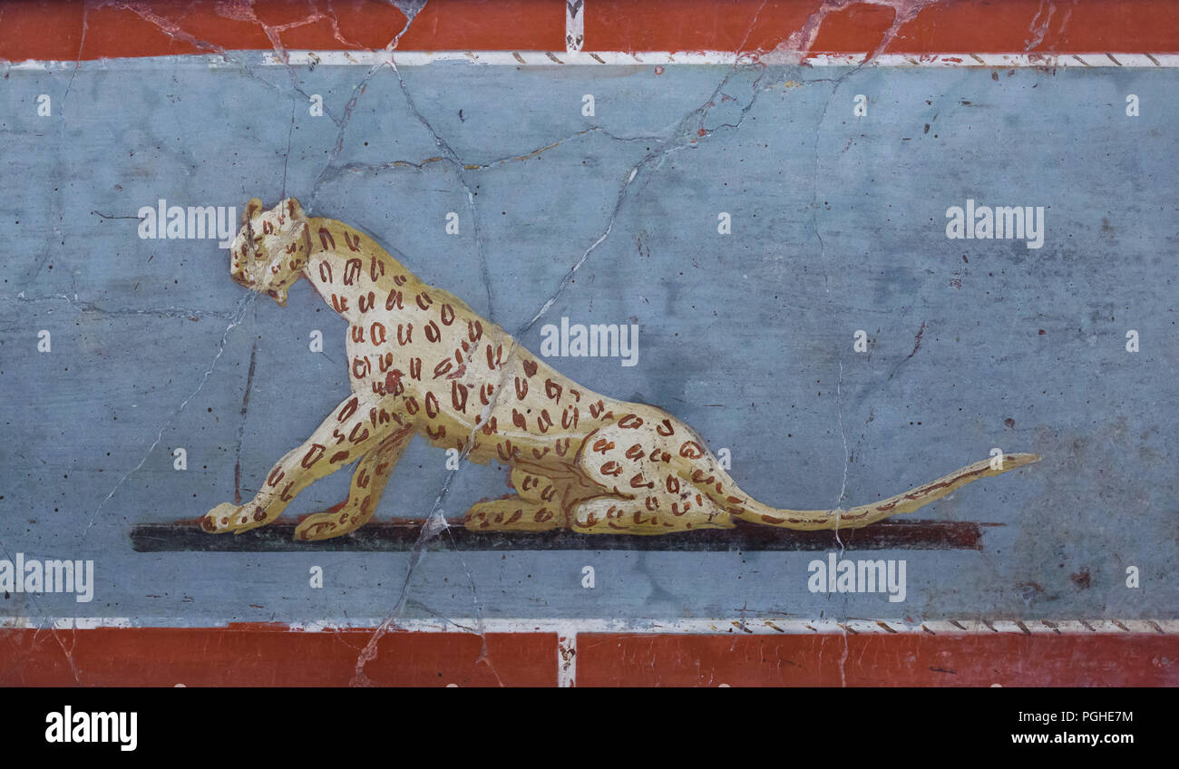 Panther in der römischen Fresko von der Villa von Cicero dargestellt (Villa di Cicerone) in Pompeji (1-79 AD), nun im Nationalen Archäologischen Museum (Museo Archeologico Nazionale di Napoli) in Neapel, Kampanien, Italien. Stockfoto