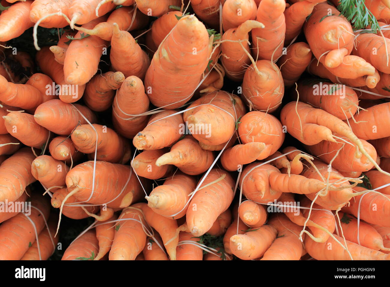 Bauernhof frische Karotten auf dem bauernmarkt an der Daley Plaza in der Innenstadt von Chicago an einem sonnigen Sommertag. Stockfoto