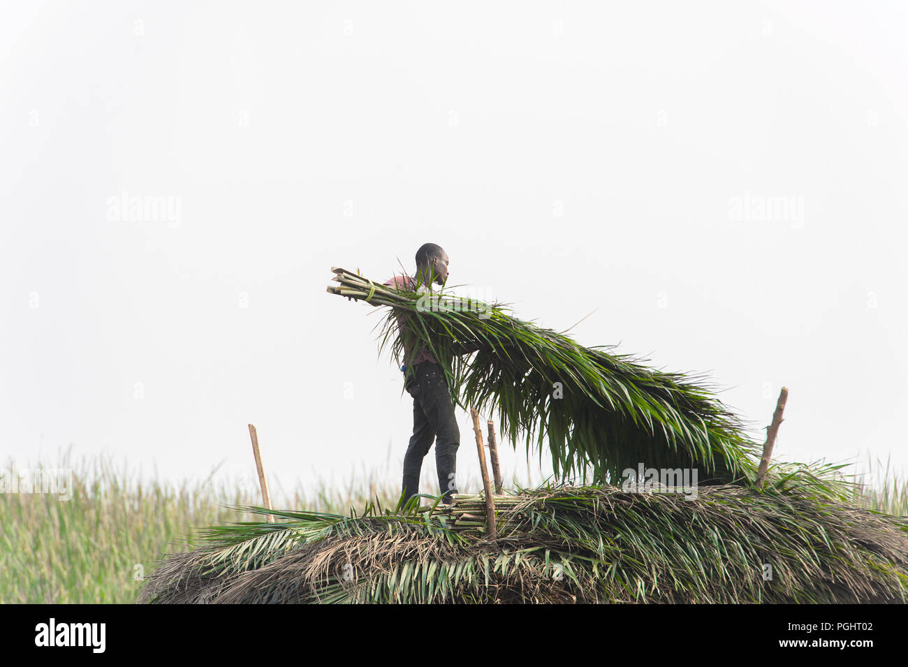 OUIDAH, BENIN - Jan 10, 2017: Unbekannter beninischen Mann legt Palmen auf dem Dach auf der Straße. Benin Menschen leiden unter der Armut aufgrund der schlechten Econo Stockfoto