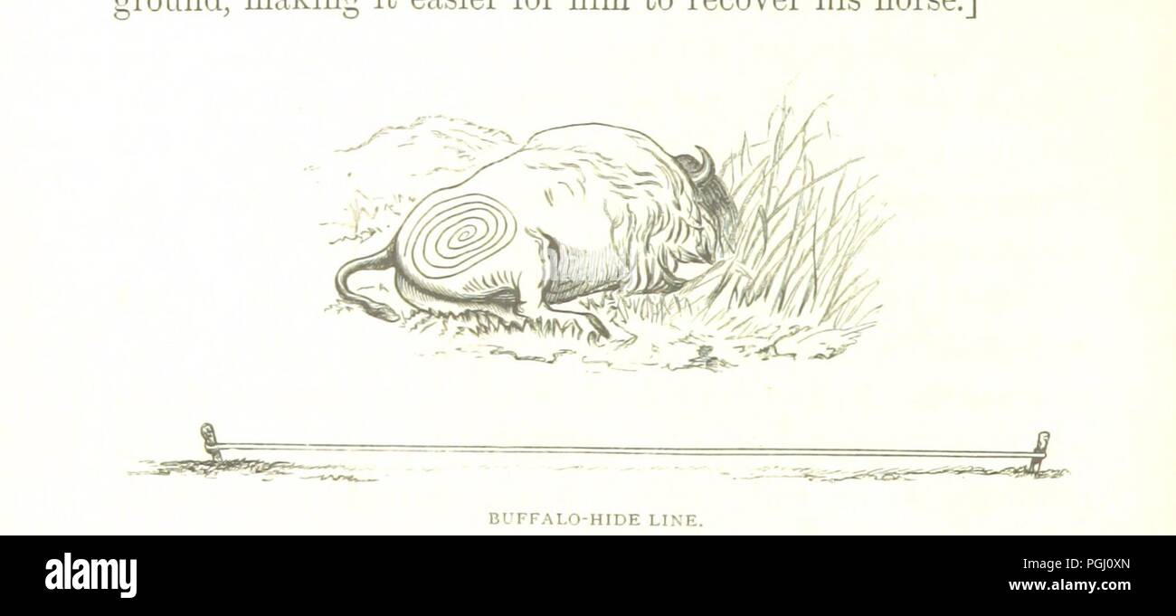 Bild von Seite 162 DES askatchewan und die Rocky Mountains. Ein Tagebuch und Erzählung von Reisen, Sport, und Abenteuer, während einer Reise durch das Hoheitsgebiet der Hudson's Bay Company im Jahre 1859 und 1860 ... Mit Karten und Piper 0085. Stockfoto
