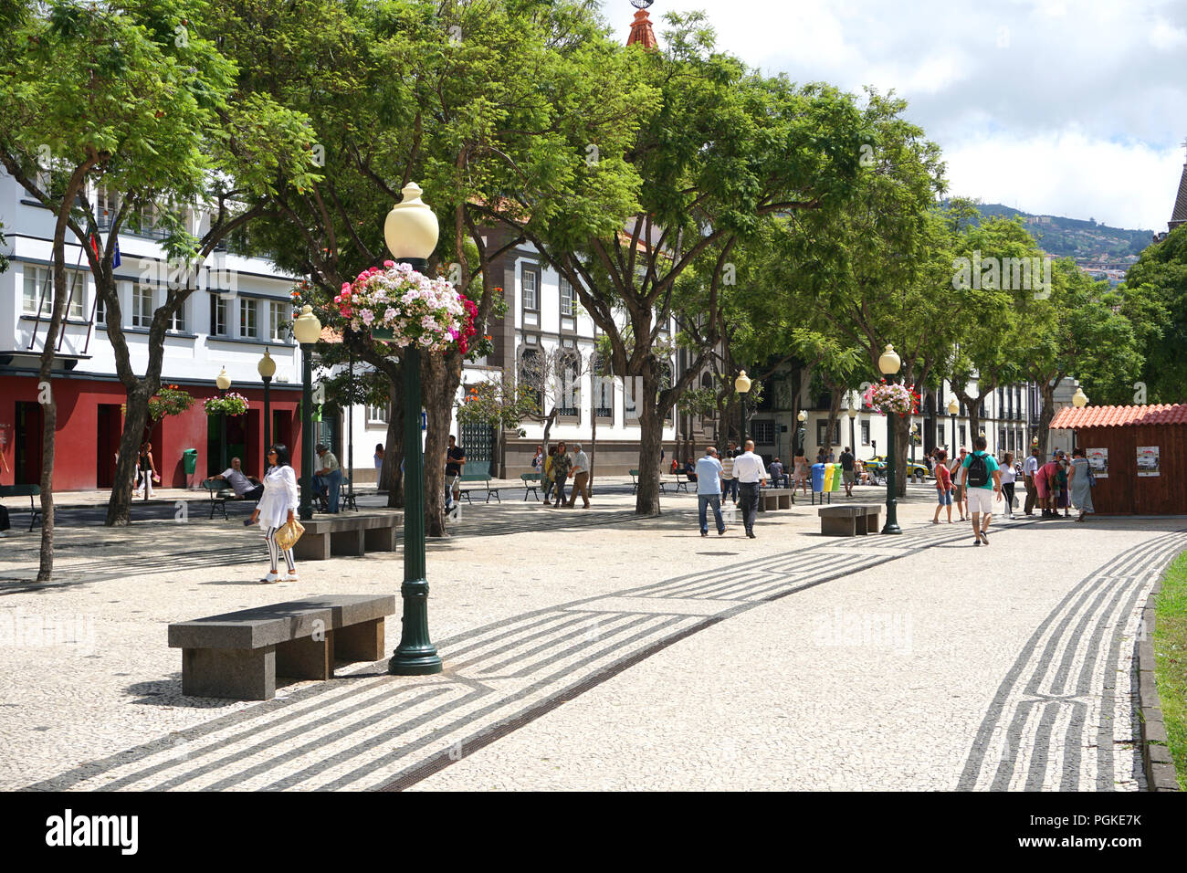 Straße in Madeiras Hauptstadt Funchal Stockfoto