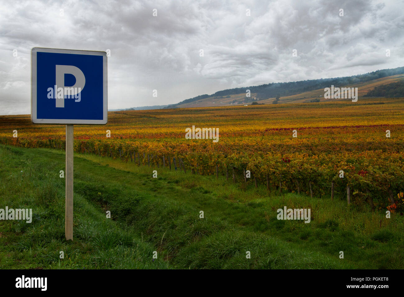 Distesa di Borgogna, vigneti con cartello Stradale Stockfoto