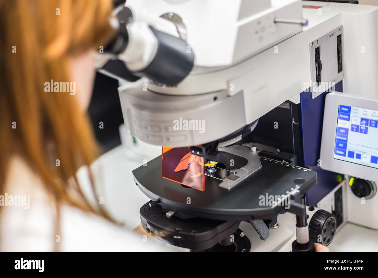 Wissenschaftlerin microscoping auf hi-tec Fluoreszenz-mikroskop. Ärztin in hes Arbeitsumgebung. Stockfoto