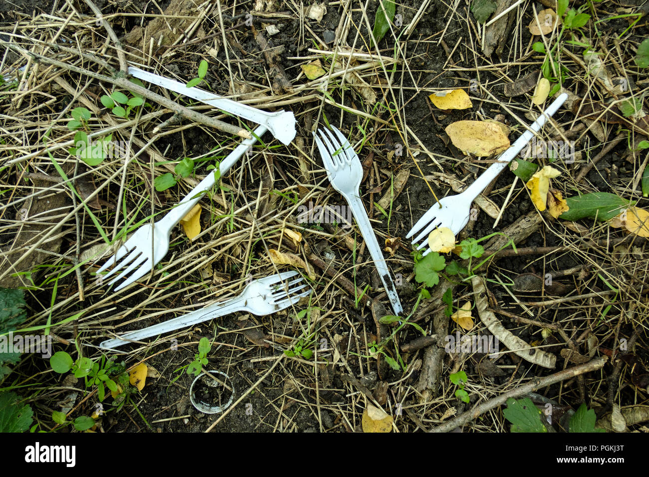 Plastik Müll auf Natur wächst Gras. Plastikgabeln. Plastikgeschirr. Stockfoto