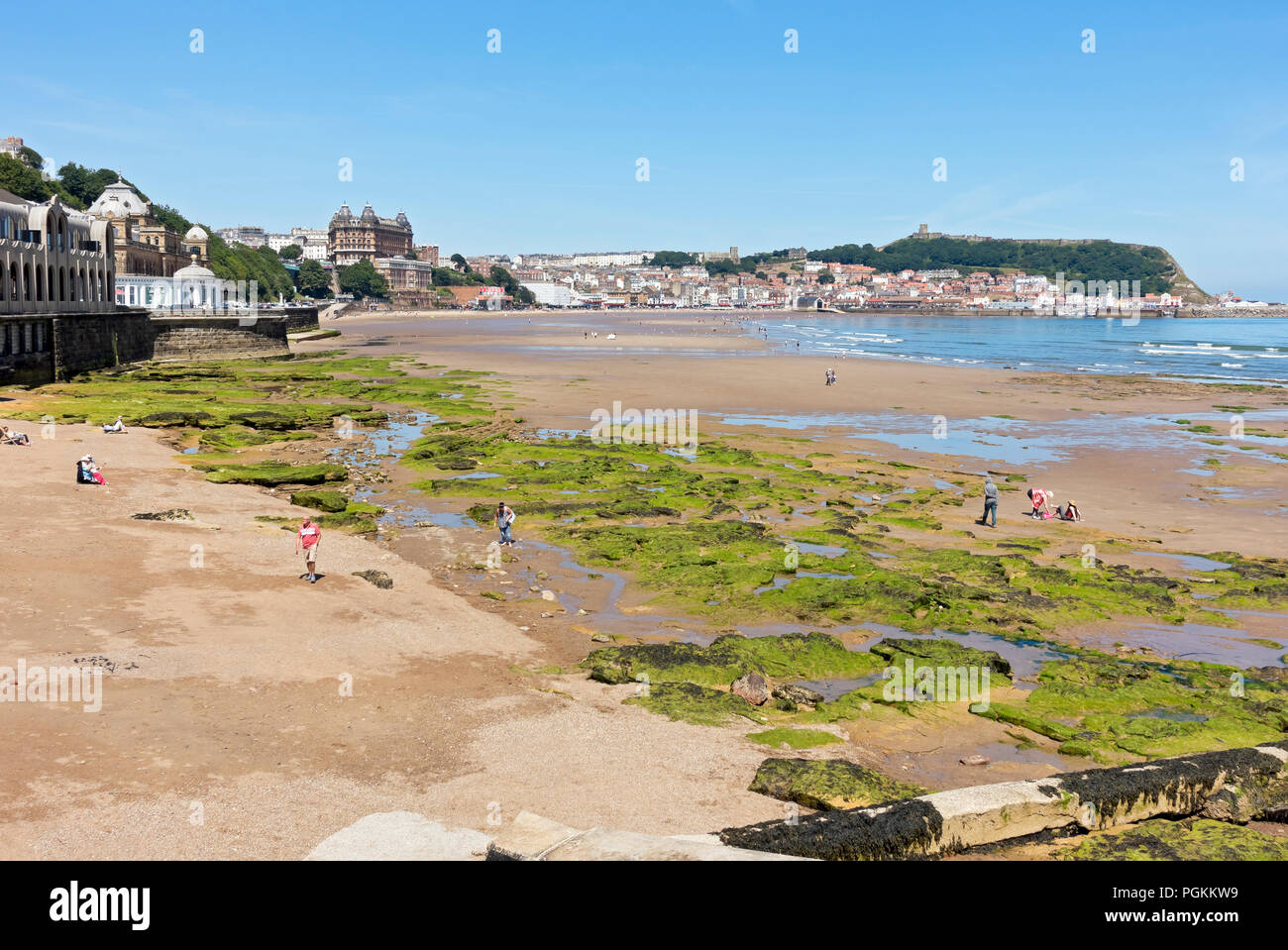 South Bay Strand bei Ebbe im Sommer Scarborough North Yorkshire England Großbritannien GB Großbritannien Stockfoto