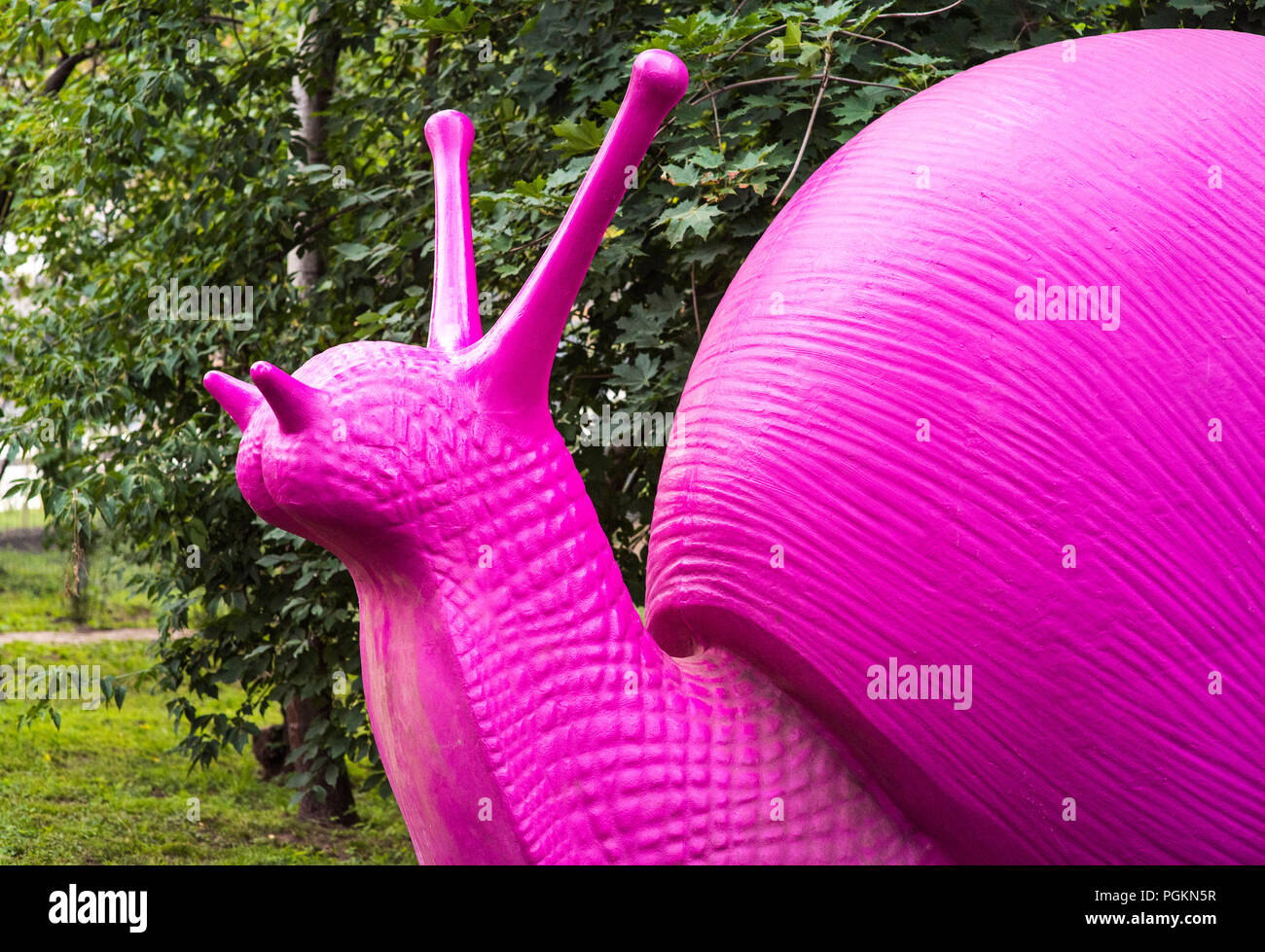 Closeup af ein lila Riese gebändert Schnecke eine Schnecke auf dem Rücken Stockfoto