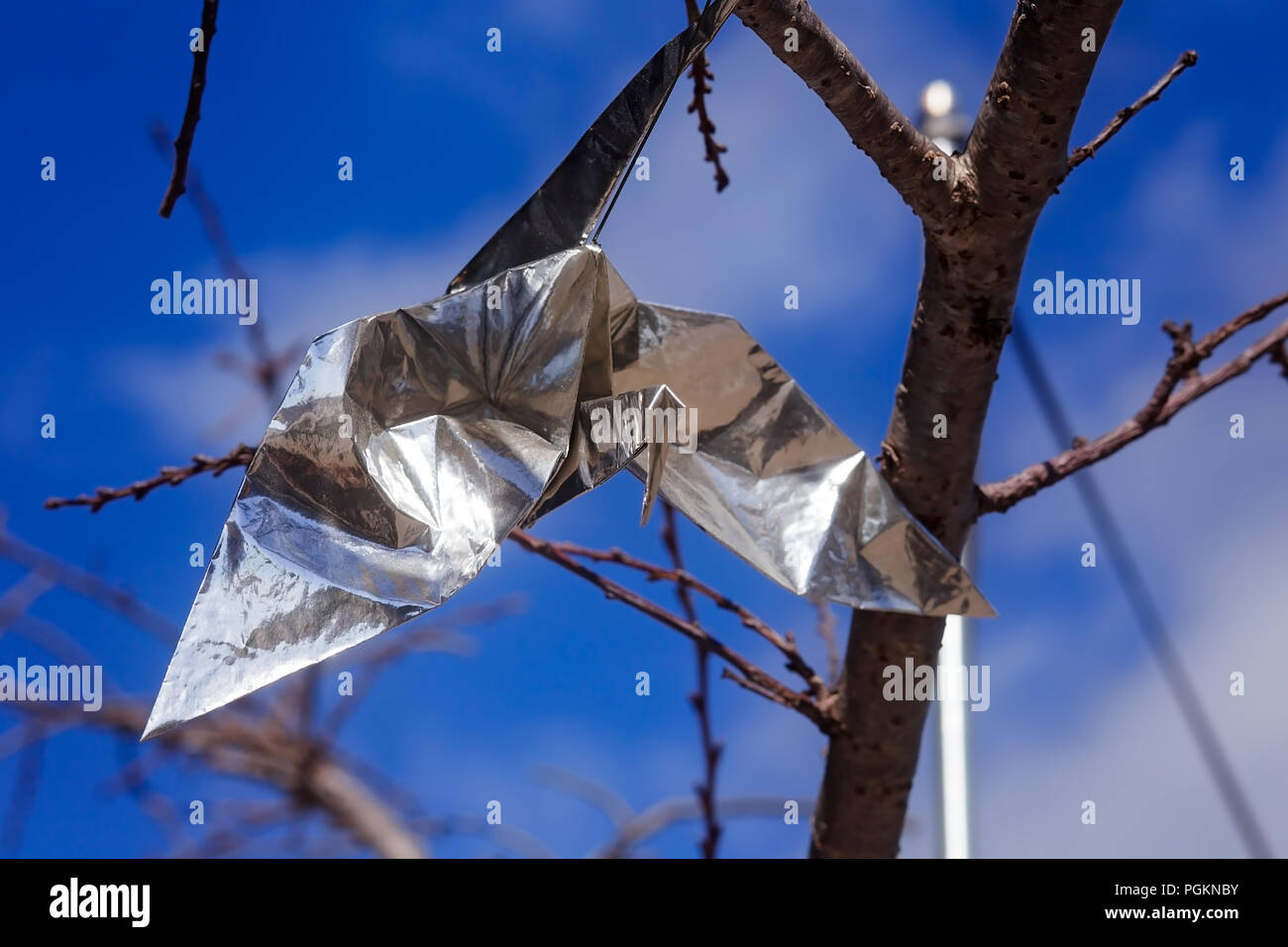 Silberfolie Origami Papier Kran, hängend an einer Kirsche Blüte Baum, in San Francisco Japantown Stockfoto