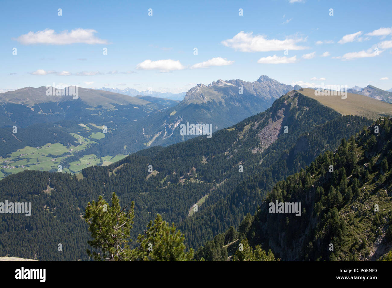 Bewaldete Hänge der Raschötz über und zwischen der Val di Funes und die Grödner Sommer Dolomiten Italien liegen Stockfoto
