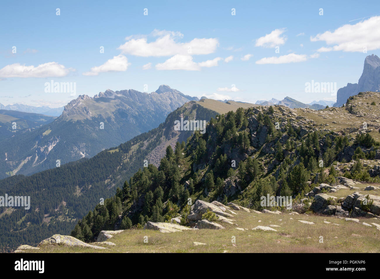 Bewaldete Hänge der Raschötz über und zwischen der Val di Funes und die Grödner Sommer Dolomiten Italien liegen Stockfoto