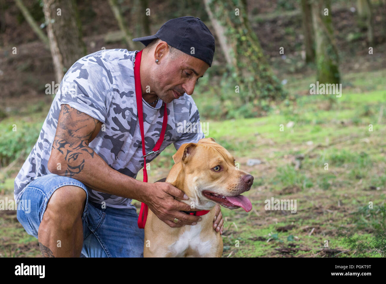 Mann spielen Spaziergang Ausbildung Hund pit bull Wald draußen pet Stockfoto