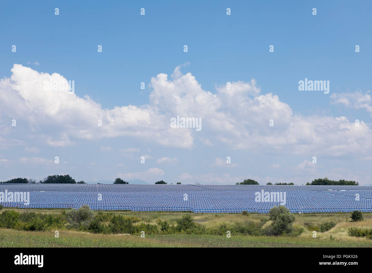 Feld mit großen Menge von PV-Strom in der Nähe Apriltsi Provinz, Lowetsch, Bulgarien Stockfoto