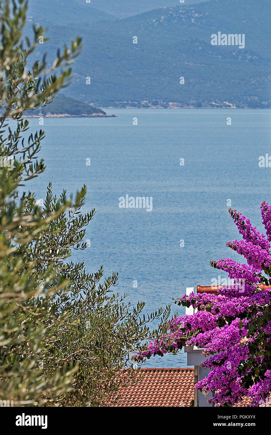 Komarna, Kroatien Stockfoto