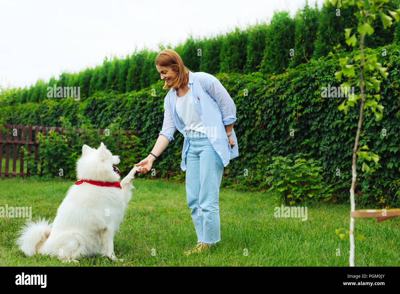 Hund Im Garten Stockfotos und bilder Kaufen Alamy