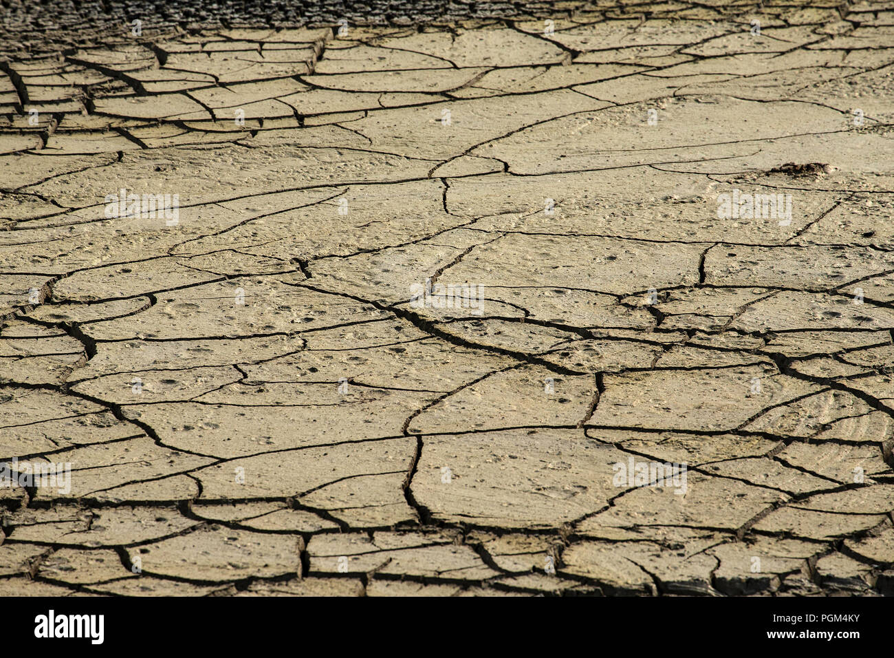 Muster und Texturen im Schlamm eines ausgetrockneten Wasserloch im Etosha, Namibia. Stockfoto