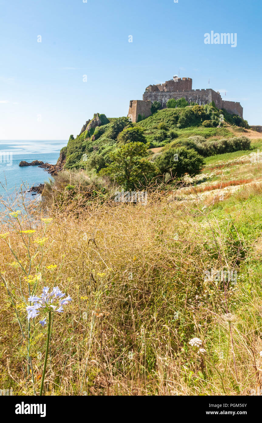 Wilde Blumen füllen den Vordergrund mit Mont Orgueil Castle oberhalb der Stadt Gorey auf der Insel Jersey im Hintergrund. An einem Sommertag. Stockfoto