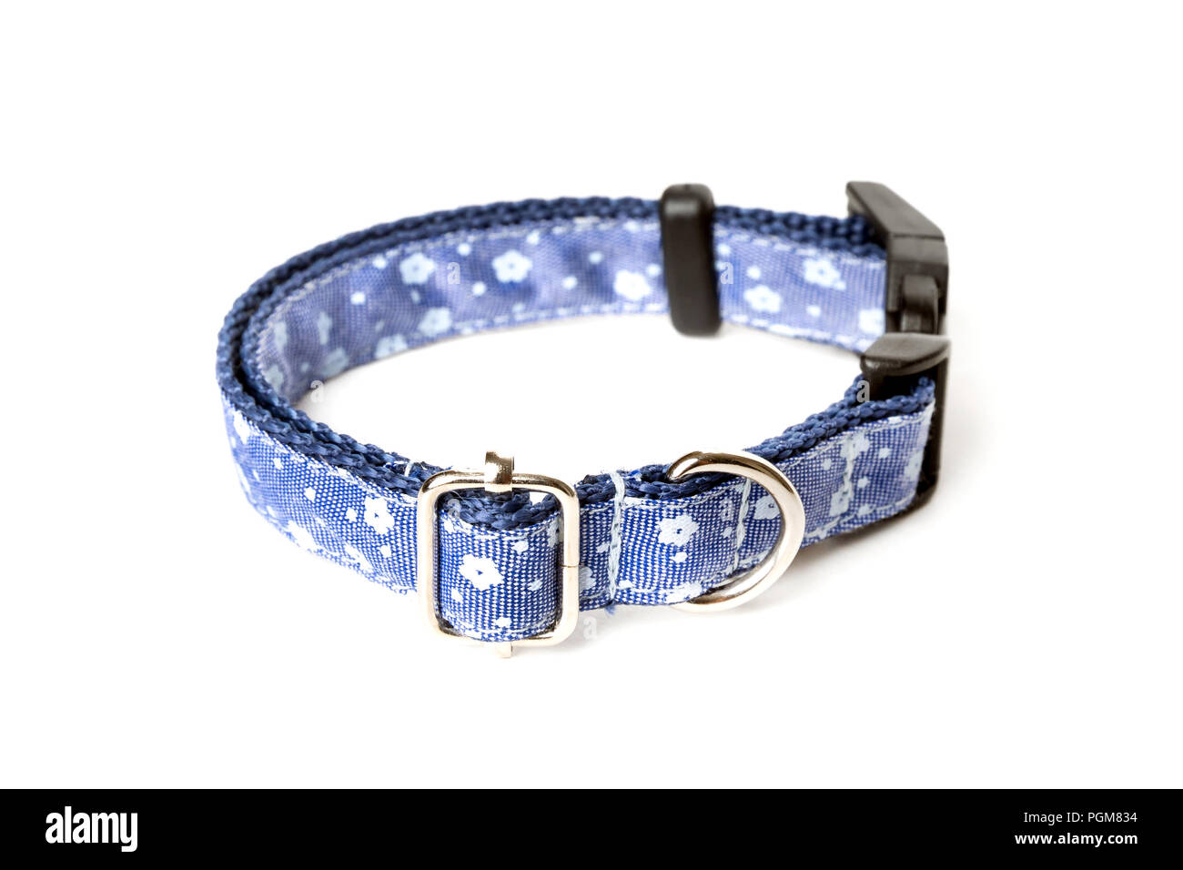 Blue Hundehalsband auf weißem Hintergrund Stockfoto
