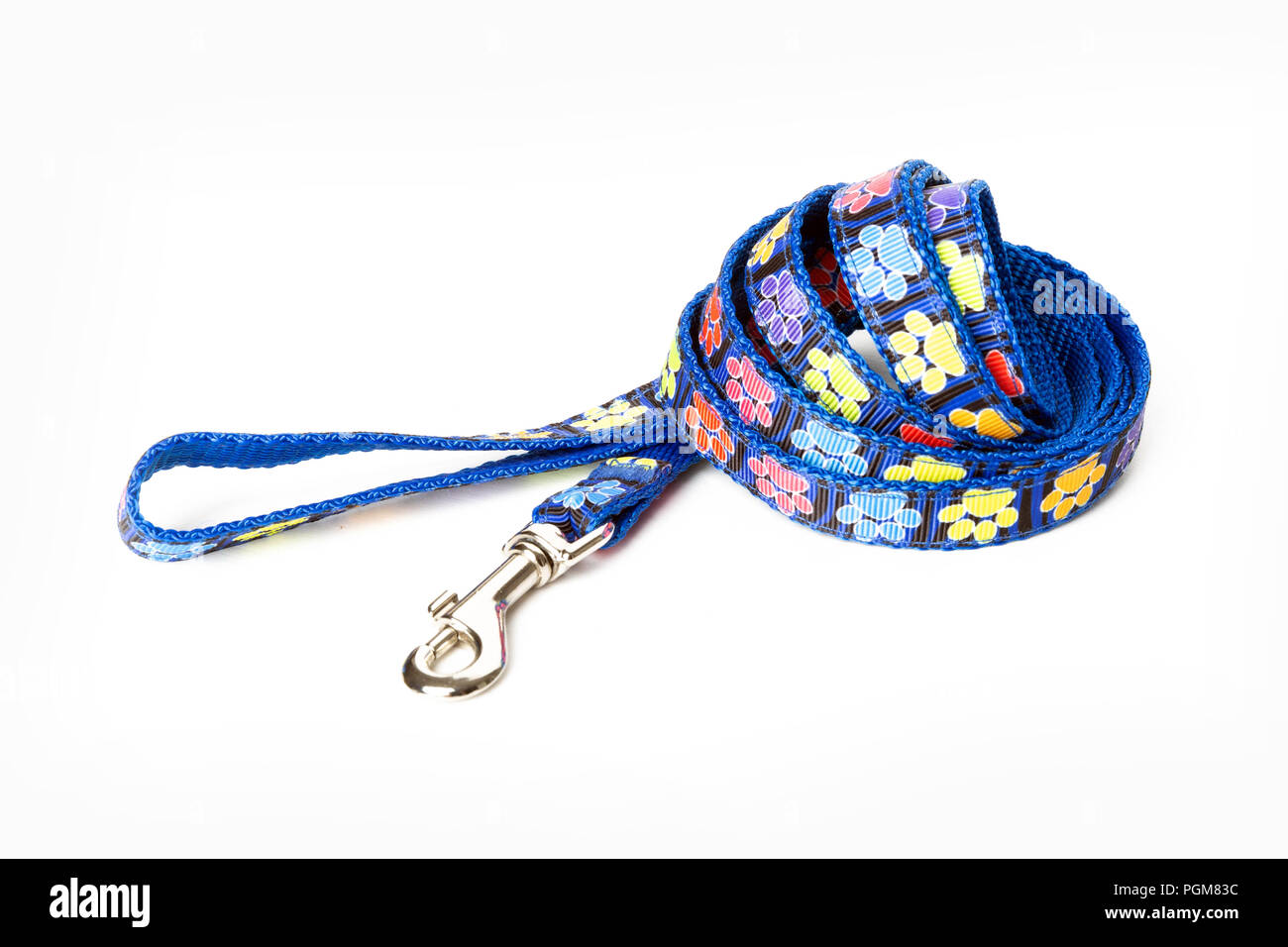 Blau Hundeleine auf weißem Hintergrund Stockfoto