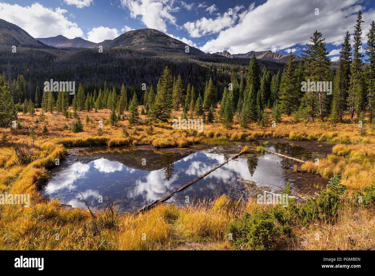 Biber Teiche entlang der Trail Ridge Road, Rocky Mountain National Park, Colorado, USA Stockfoto