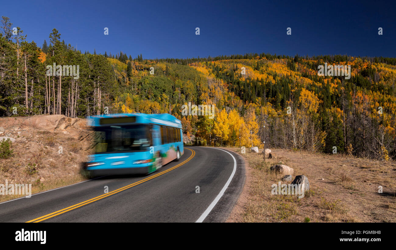Shuttle Bus am Bear Lake Road im Rocky Mountain National Park, Colorado, USA, mit Herbstfarben Stockfoto