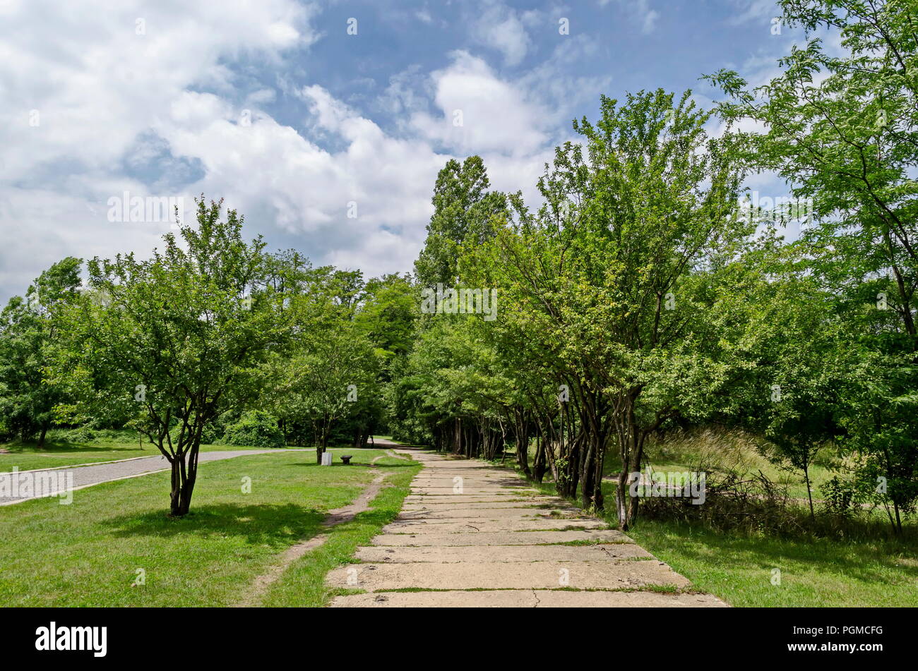 Holzbank auf der Gasse im Wald bei natürlichen Old West Park, Sofia, Bulgarien Stockfoto