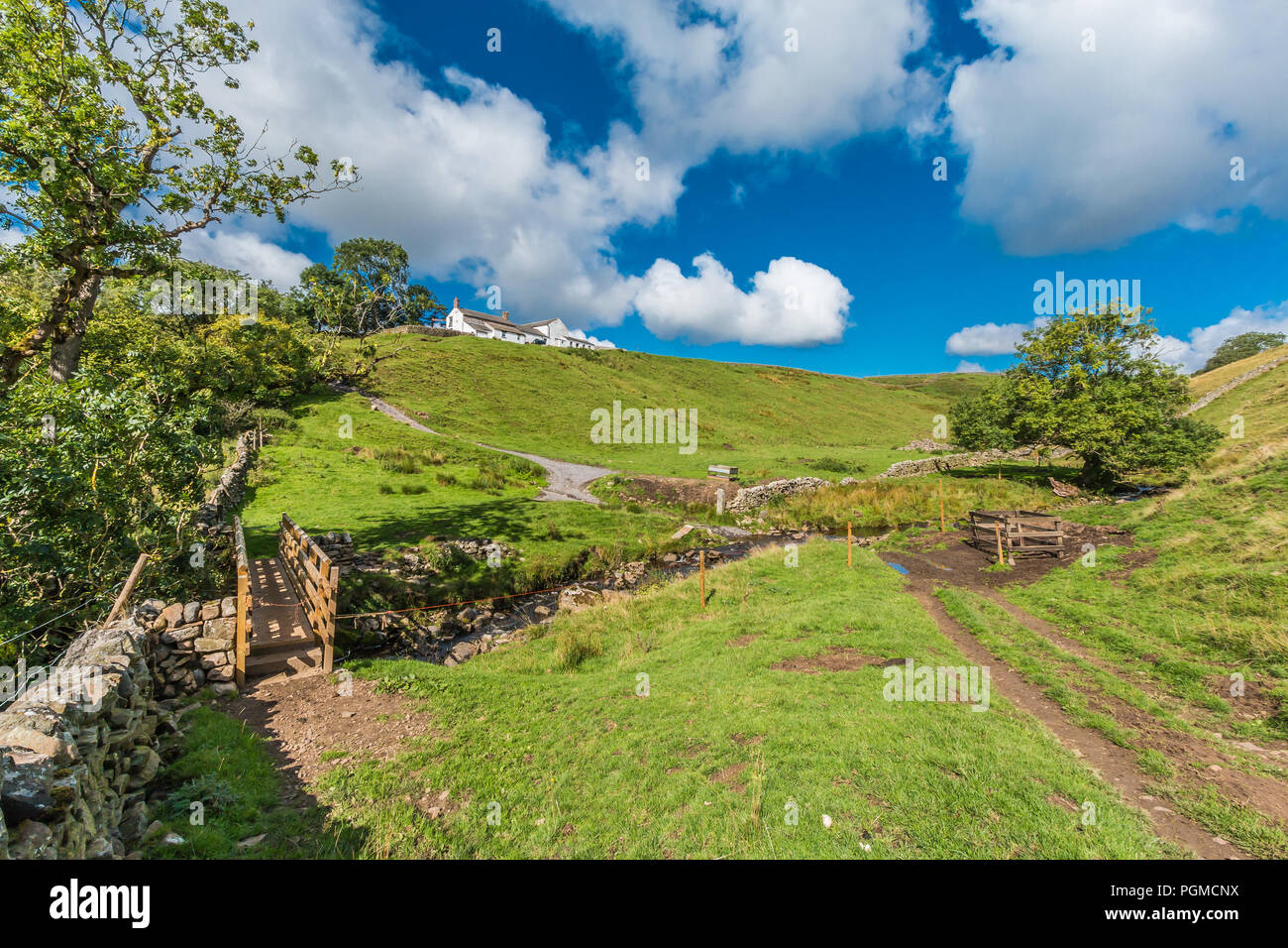 North Pennines AONB Landschaft, Birke Bush Farm, Ettersgill, Teesdale, UK im späten Sommer Sonnenschein Stockfoto