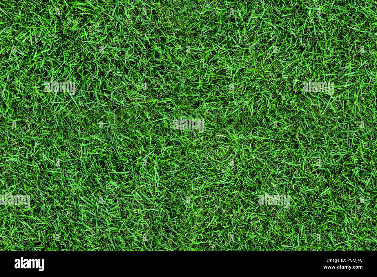 Dunkle Nahtlose Green Grass Textur Hintergrund Frische Wiese Feld Anzeigen Frim Oben Stockfotografie Alamy