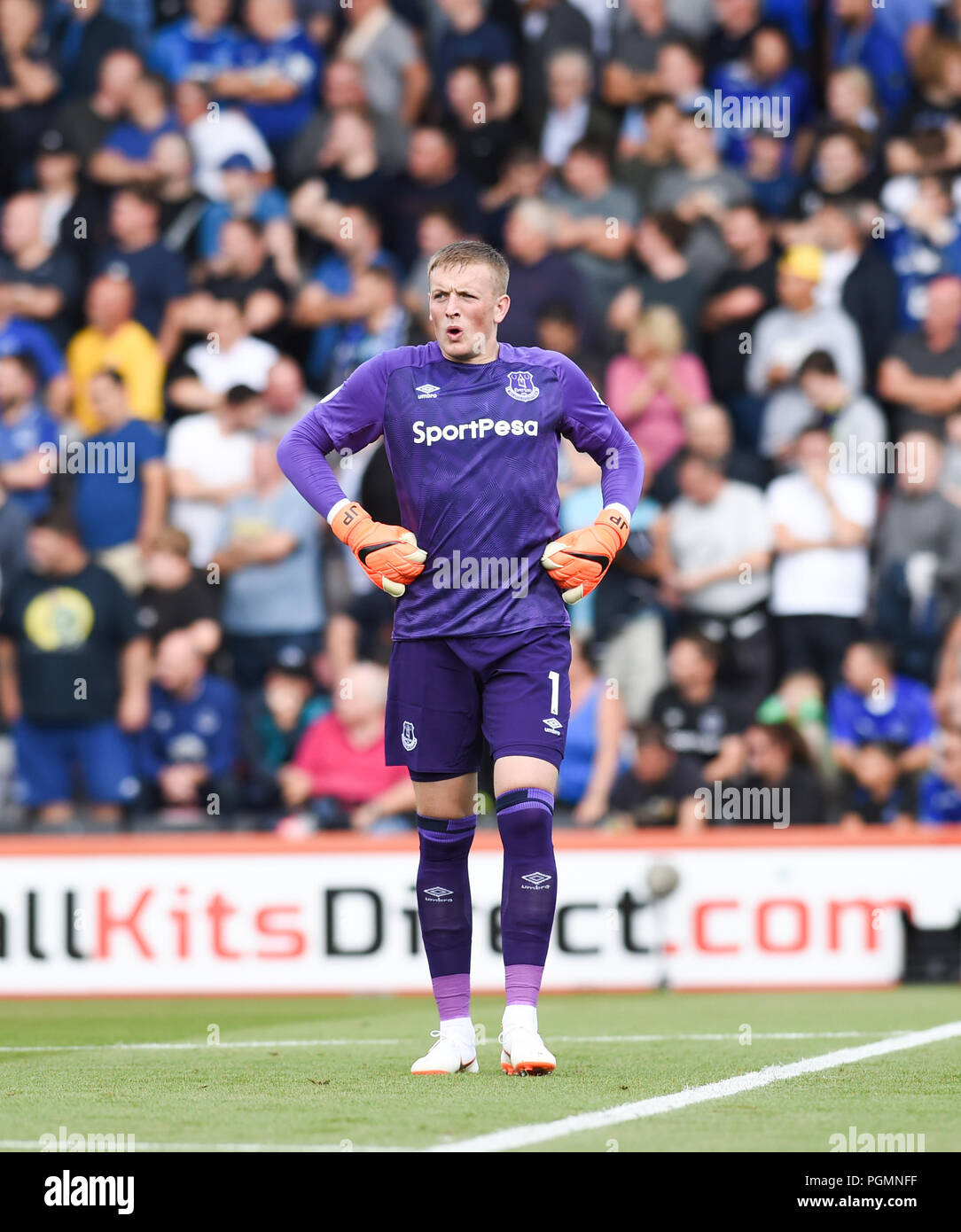 Jordan Pickford of Everton während des Premier League-Spiels zwischen dem AFC Bournemouth und Everton im Vitality Stadium, Bournemouth , 25 Aug 2018 Foto Simon Dack / Telephoto Images. Nur redaktionelle Verwendung. Kein Merchandising. Für Football Images gelten Einschränkungen für FA und Premier League, inc. Keine Internet-/Mobilnutzung ohne FAPL-Lizenz. Weitere Informationen erhalten Sie bei Football Dataco Stockfoto