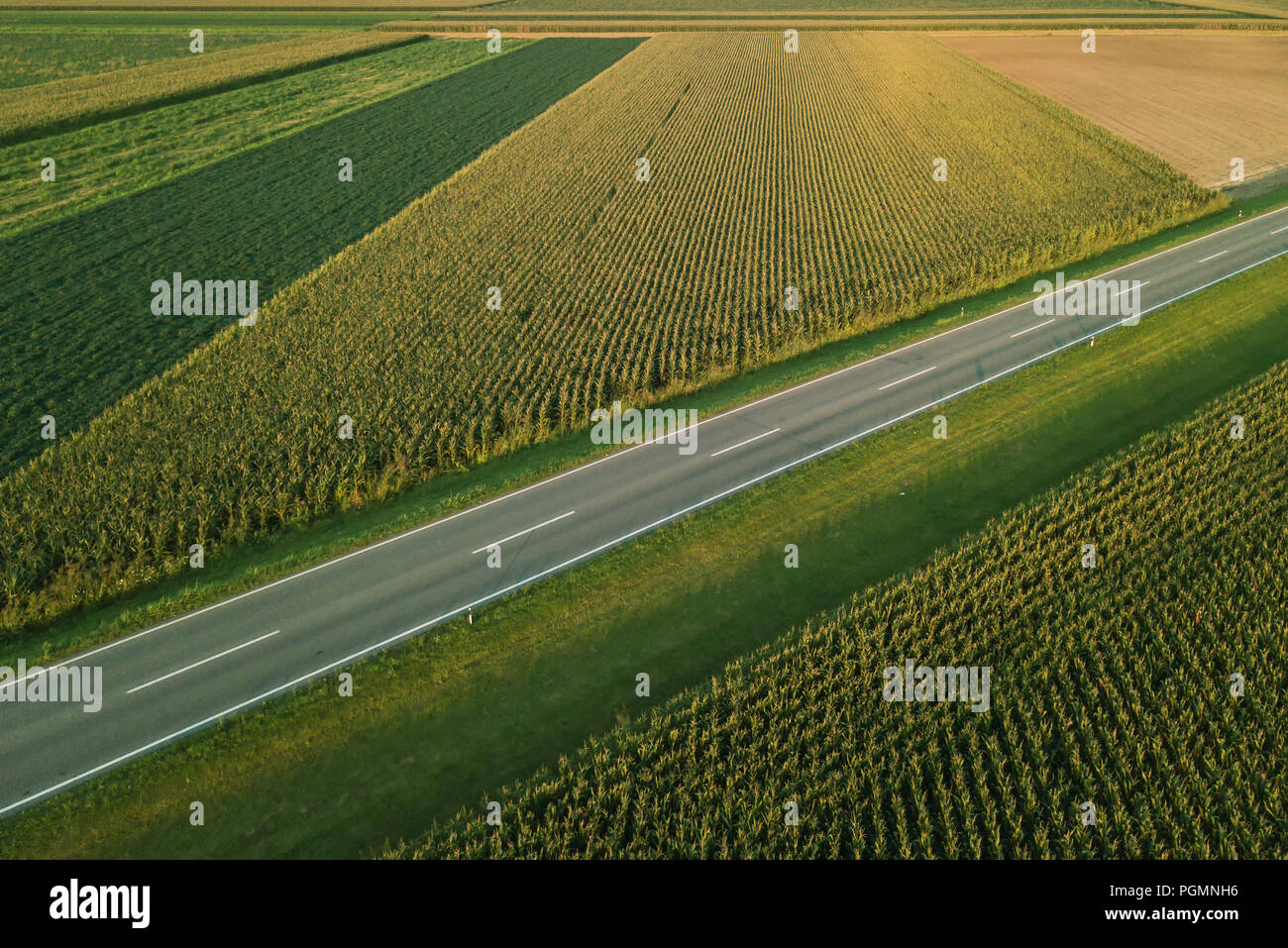 Luftaufnahme von zweispurigen Autobahn Straße durch Landschaft und kultivierten Feld von Mais im Sommer Sonnenuntergang Stockfoto