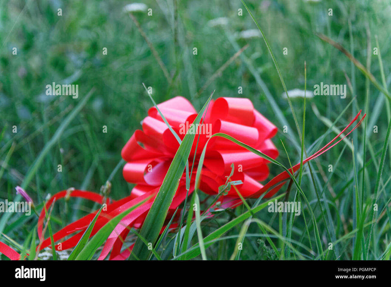 Red Bug liegt auf Gras, Konzept der Verlorene Hoffnung Stockfoto