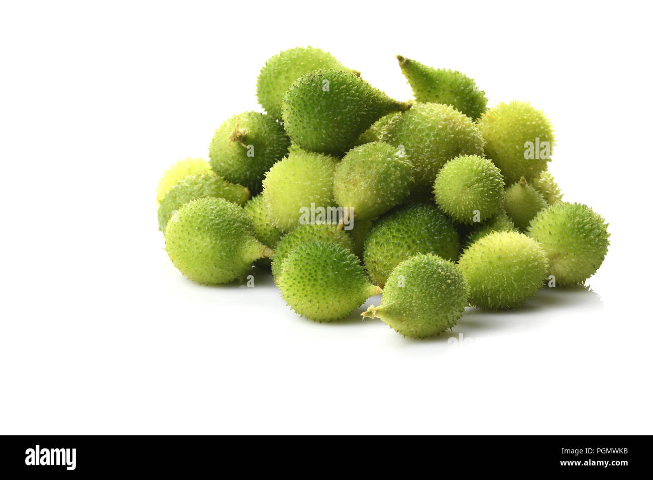 Vorderansicht des frischen grünen stacheligen Kürbis. Stockfoto