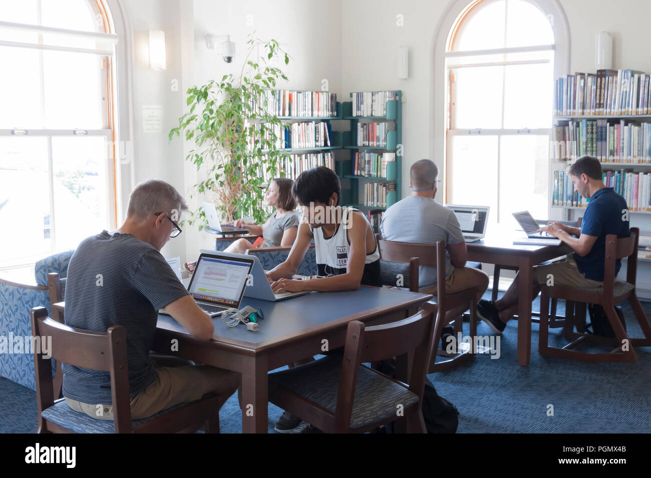 Erwachsene mit Laptop Computer in der Provincetown, Massachusetts öffentliche Bibliothek. Stockfoto