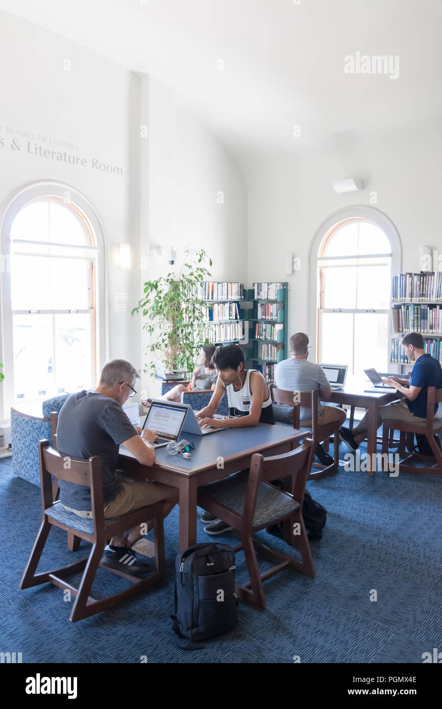 Erwachsene mit Laptop Computer in der Provincetown, Massachusetts öffentliche Bibliothek. Stockfoto