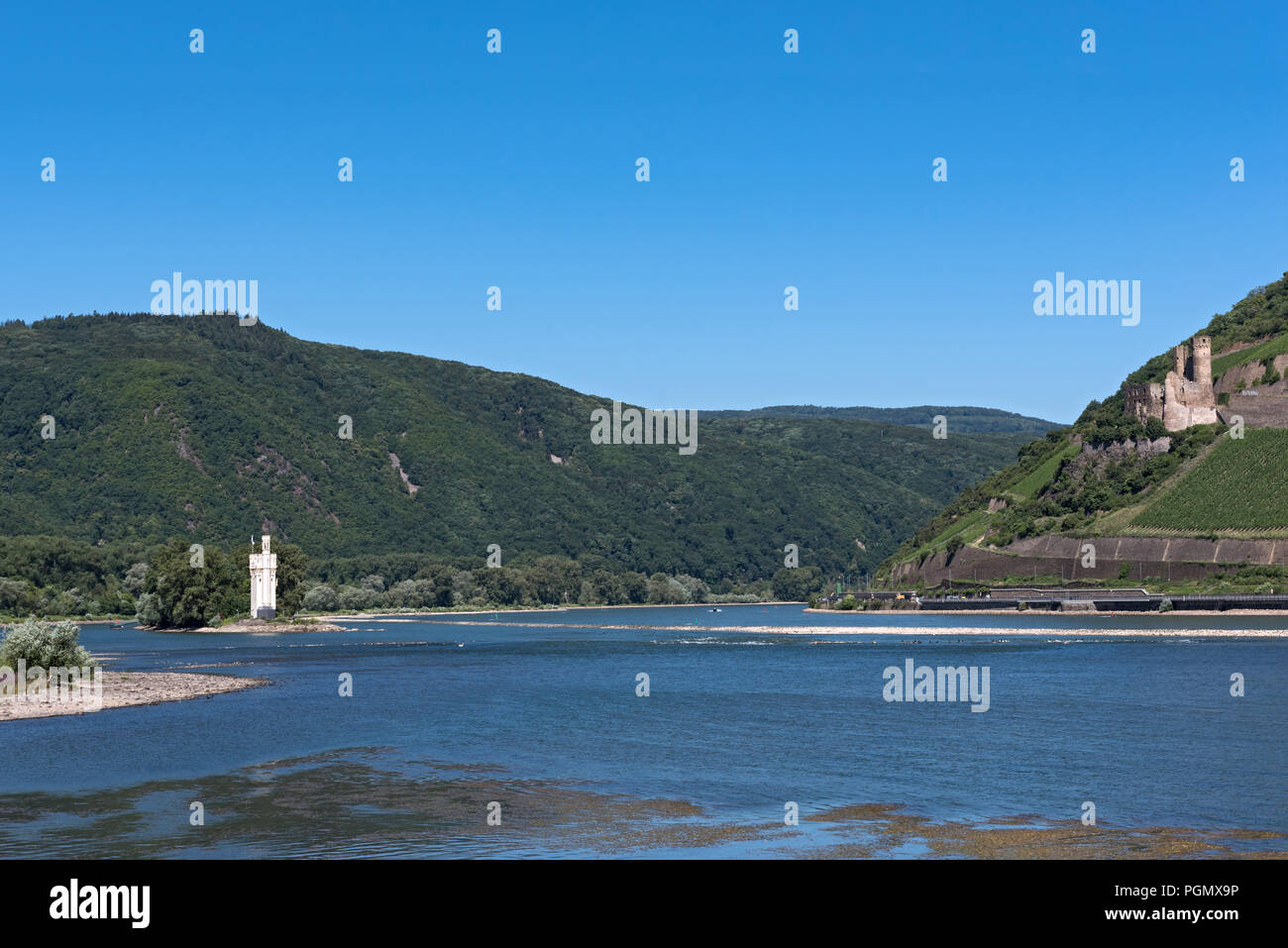 Burg Ehrenfels und dem Binger Mäuseturm in das Mittelrheintal, Deutschland. Stockfoto