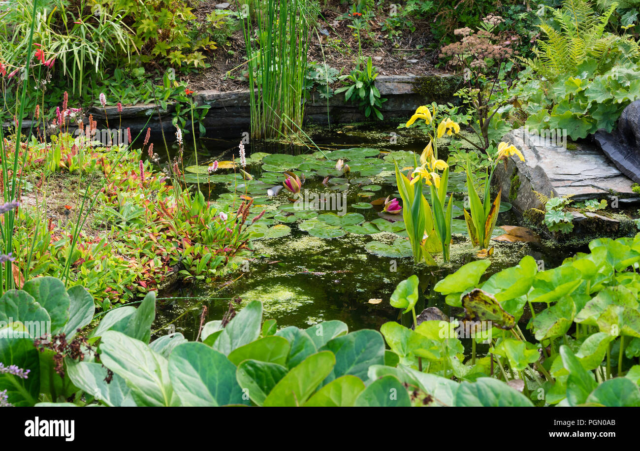 Bepflanzung am pool Fotos und Bildmaterial in hoher Auflösung Alamy