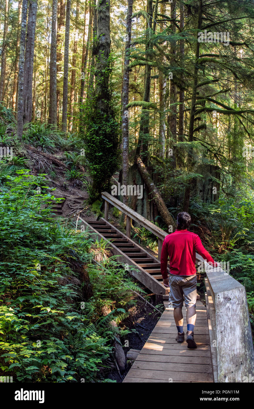 Wanderer auf mystische Beach Trail - Juan De Fuca Marine Trail - Sooke, in der Nähe von Victoria, Vancouver Island, British Columbia, Kanada Stockfoto