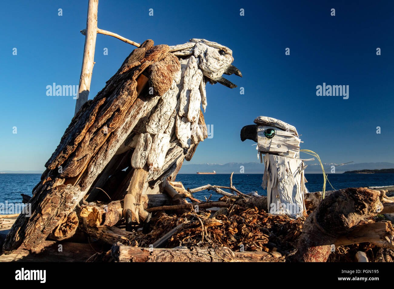 Osprey - Driftwood Kunst von Paul Lewis - esquimalt Lagune, Victoria, Vancouver Island, British Columbia, Kanada Stockfoto