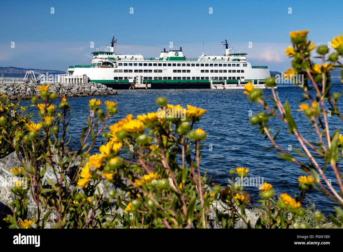 Washington State Ferry (Chelan) an Sidney Ferry Terminal, Vancouver Island, British Columbia, Kanada Stockfoto