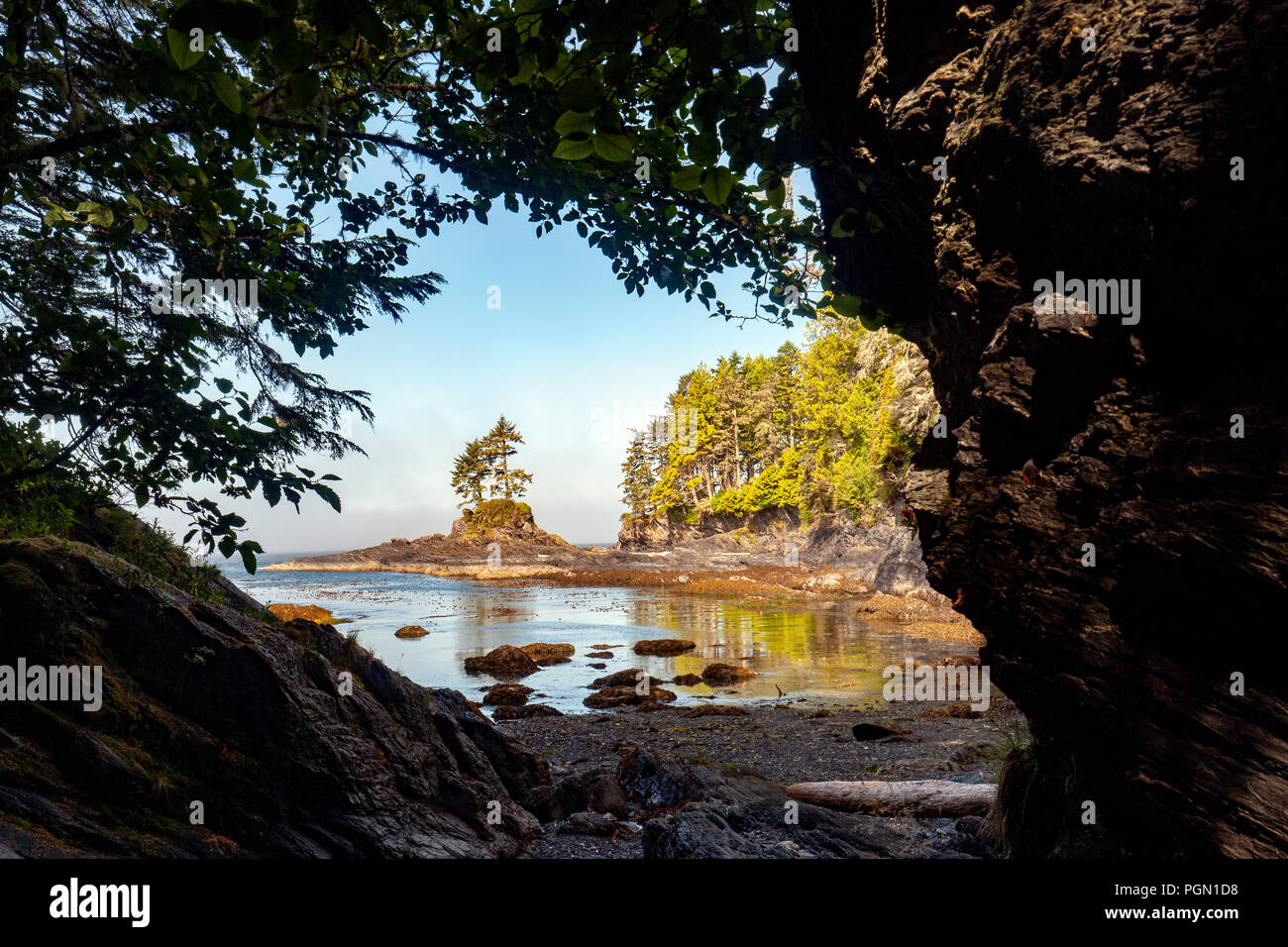 Küstenansicht am Botanical Beach Provincial Park und Botany Bay - Juan de Fuca Marine Trail-Port Renfrew, Vancouver Island, British Columbia, Kanada Stockfoto