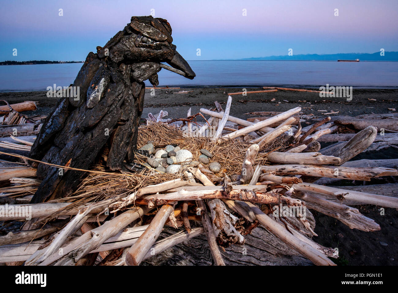Raven - Driftwood Kunst von Paul Lewis - esquimalt Lagune, Victoria, Vancouver Island, British Columbia, Kanada Stockfoto