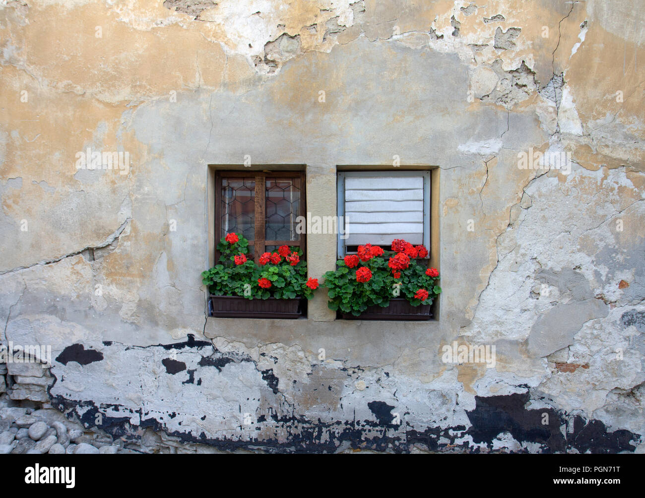 Zwei kleine Burg Fenster mit roten Geranien, Burg Orava, Slowakei. Stockfoto