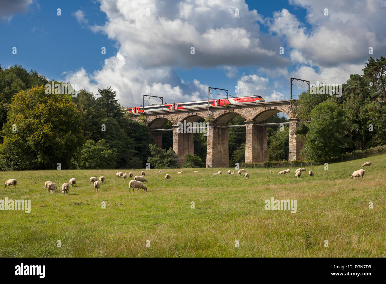 Ein London North Eastern Railway (LNER) Class 91 Lokomotive Kreuzung Acklington Viadukt auf der East Coast Main Line in Northumbria Stockfoto