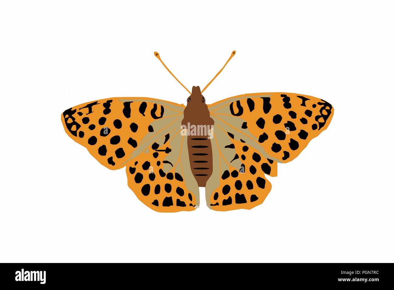 Schmetterling in der Farbe Orange mit schwarzen Punkten - Vector Graphics Stock Vektor