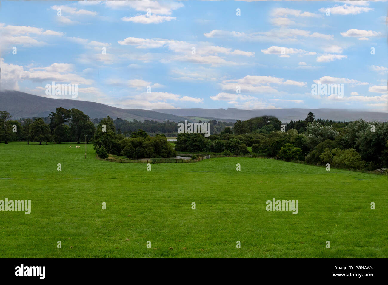 Schöne Landstriche des grünen Grases in einem Feld mit Bäumen und Hügeln im Hintergrund und einem blauen clody Himmel. Stockfoto